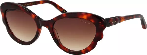 Brown Acetate Sunglasses