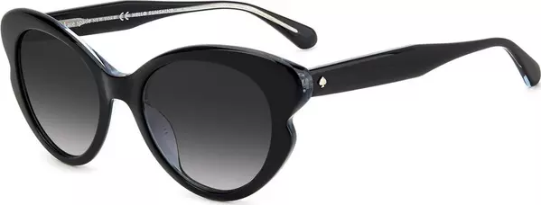 Black Acetate Sunglasses