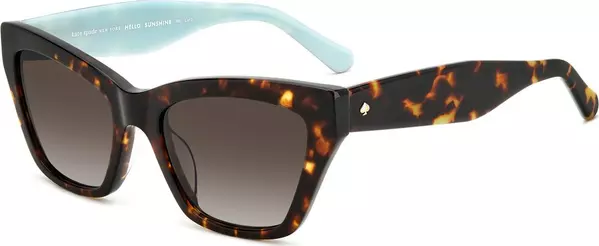 Brown Acetate Sunglasses