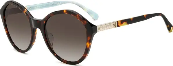 Brown Acetate Sunglasses