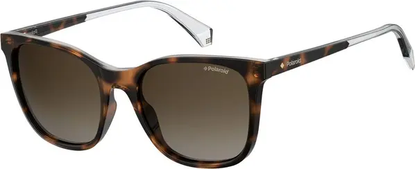 Brown Plastic Sunglasses