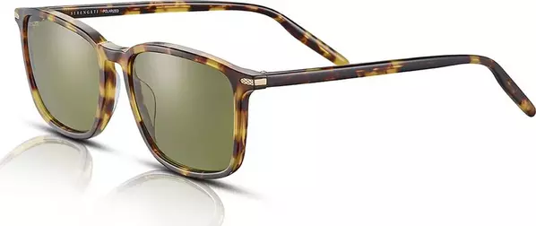 Brown Resin Sunglasses
