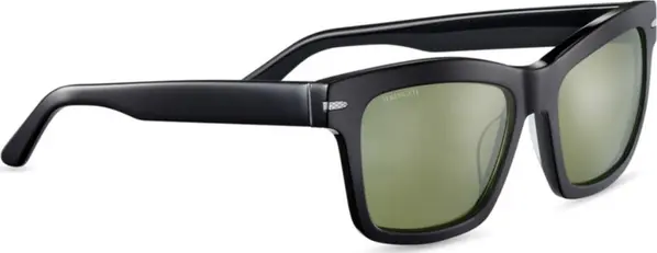Black Plastic Sunglasses