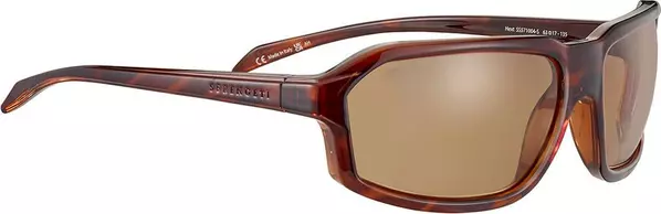 Brown Resin Sunglasses