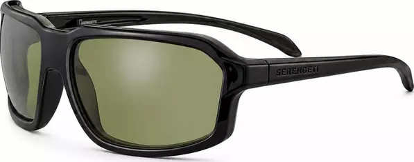 Black Resin Sunglasses