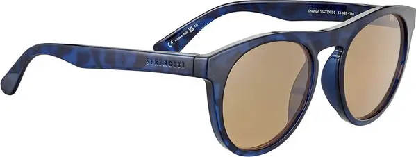 Brown Resin Sunglasses