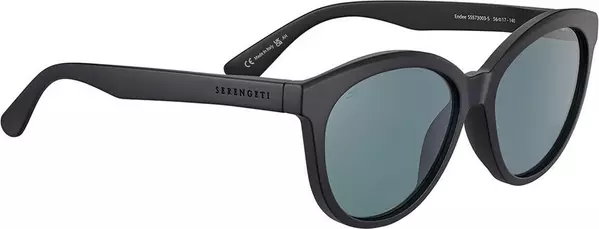 Black Resin Sunglasses