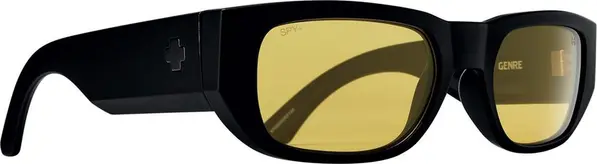 Black Plastic Sunglasses