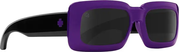 Purple Resin Sunglasses