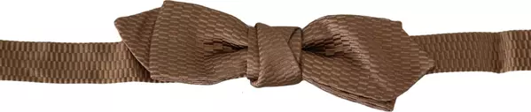 Men Brown Gold Adjustable Neck Papillon Bow Tie