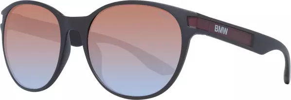 Brown Plastic Sunglasses