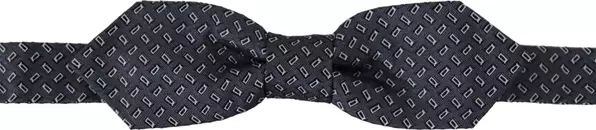 Blue Gray Polka Dot 100% Silk Neck Papillon Tie