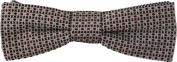 Black White Flower Pattern Silk Neck Papillon Tie