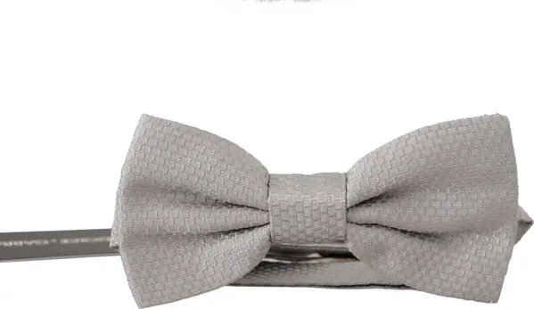 Gray 100% Silk Adjustable Neck Papillon Tie