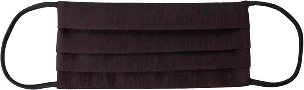 Maroon Pleated Elastic Ear Strap Face Mask