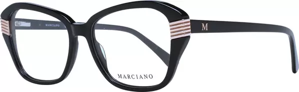 Black Plastic Glasses (Frames)