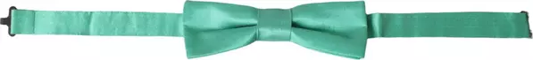Mint Green Silk Adjustable Neck Men Bow Tie