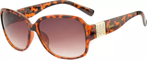 Brown Resin Sunglasses