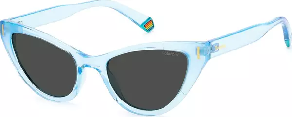 Blue Plastic Sunglasses