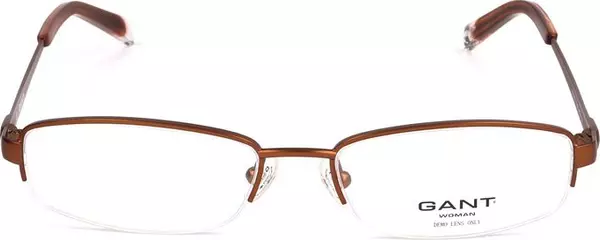 Brown Plastic Glasses (Frames)