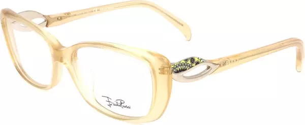 Orange Plastic Glasses (Frames)