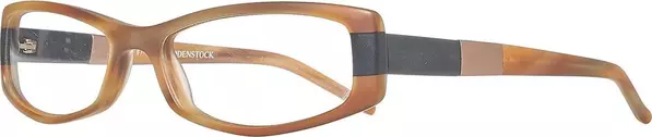 Brown Plastic Glasses (Frames)