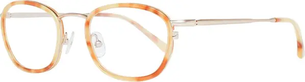 Brown Plastic Glasses (Frames)