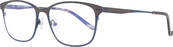 Blue Metal Glasses (Frames)