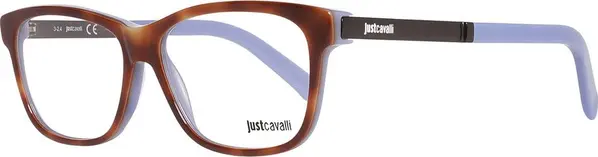 Brown Plastic Glasses (Frames)