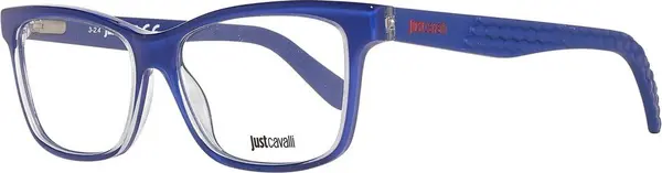 Blue Plastic Glasses (Frames)