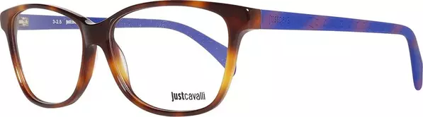 Brown Plastic Glasses (Frames)