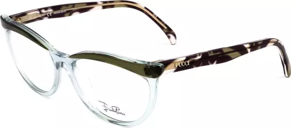 Green Plastic Glasses (Frames)