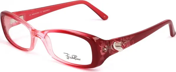 Red Plastic Glasses (Frames)