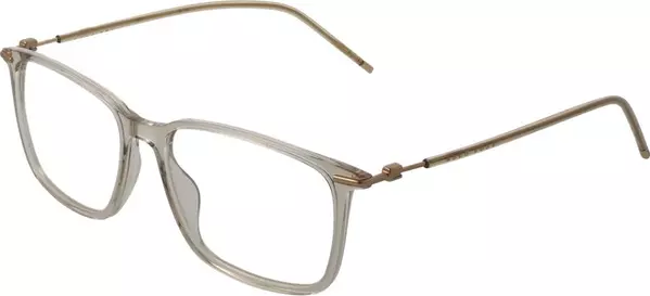 Gold Acetate Glasses (Frames)