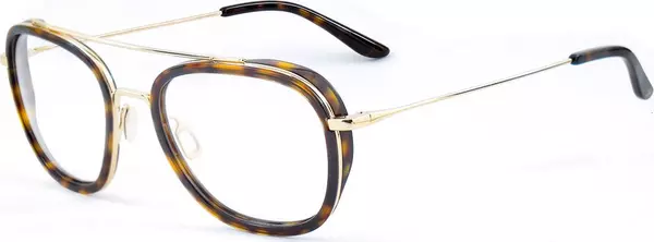 Gold Stainless Steel Glasses (Frames)