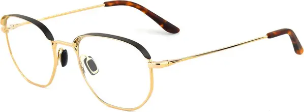 Gold Stainless Steel Glasses (Frames)