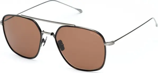 Brown Titanium Sunglasses