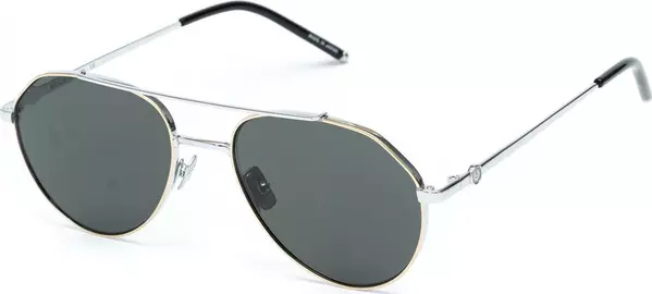 Gray Titanium Sunglasses