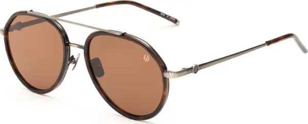 Brown Titanium Sunglasses