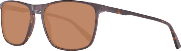 Brown Plastic Sunglasses