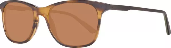 Brown Plastic Sunglasses