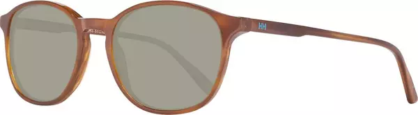 Brown Plastic Sunglasses