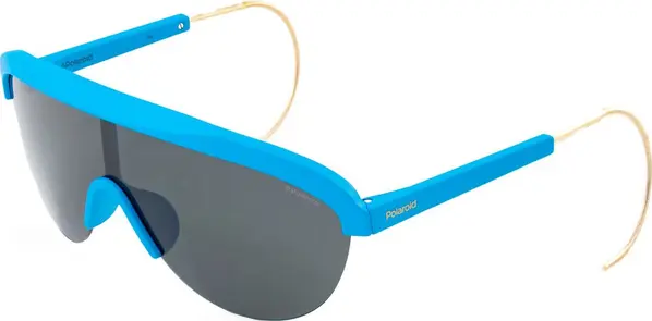 Blue Plastic Sunglasses