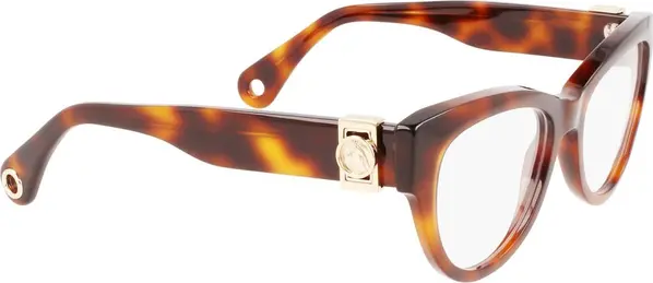 Brown Acetate Glasses (Frames)