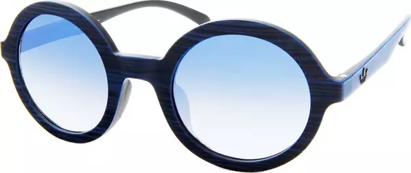 Blue Plastic Sunglasses