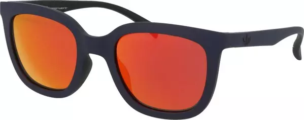 Purple Plastic Sunglasses