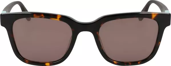 Brown Acetate Sunglasses