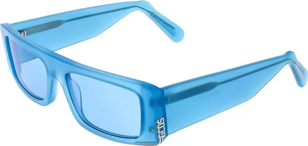 Blue Plastic Sunglasses