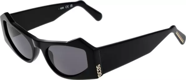 Black Acetate Sunglasses