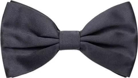 Gray Silk Bowtie
